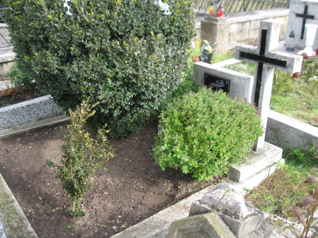 Grób Stanisław Ciochoń