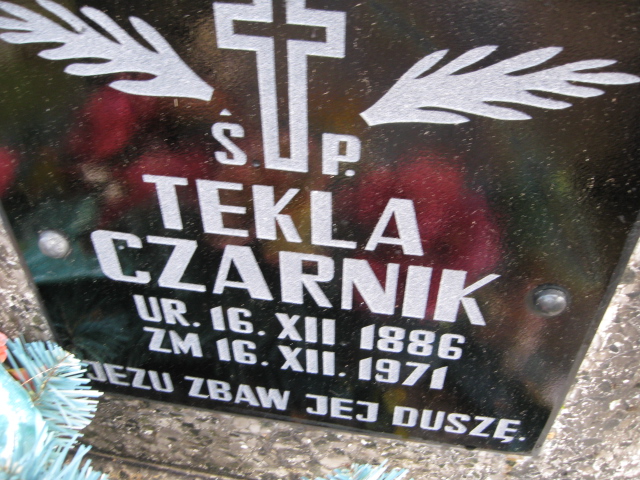 Tekla Czarnik 1886 Lisia Góra - Grobonet - Wyszukiwarka osób pochowanych