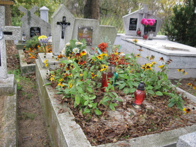 Grób Elżbieta Taraszka