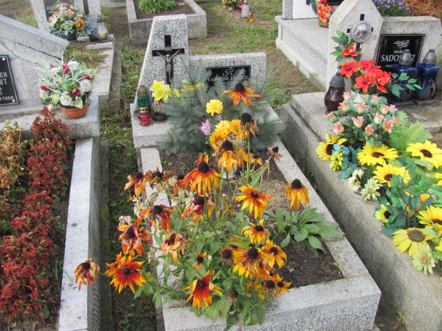 Grób Tadeusz Łuszcz